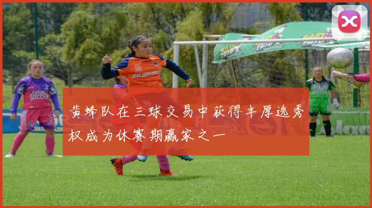 黄蜂队在三球交易中获得丰厚选秀权成为休赛期赢家之一